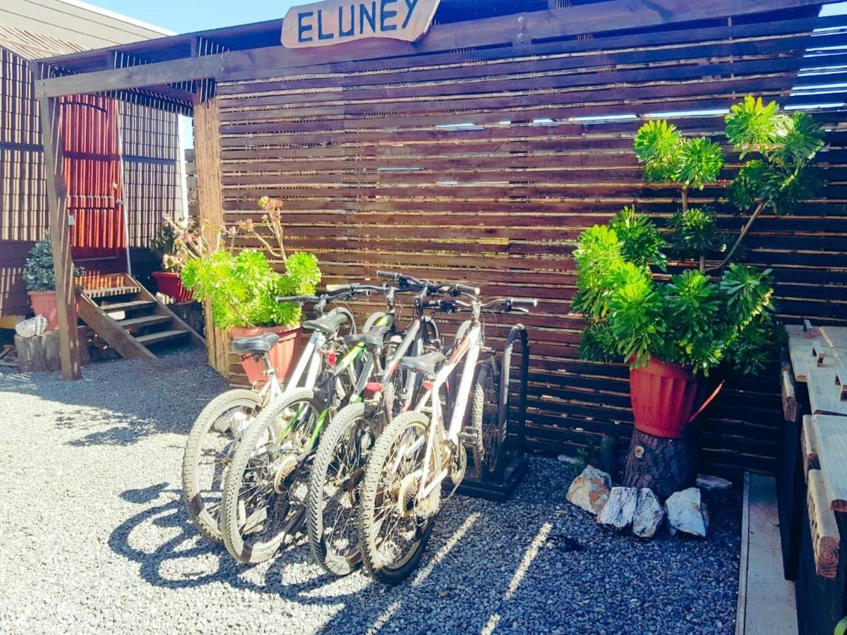 Eluney Pichilemu Luaran gambar