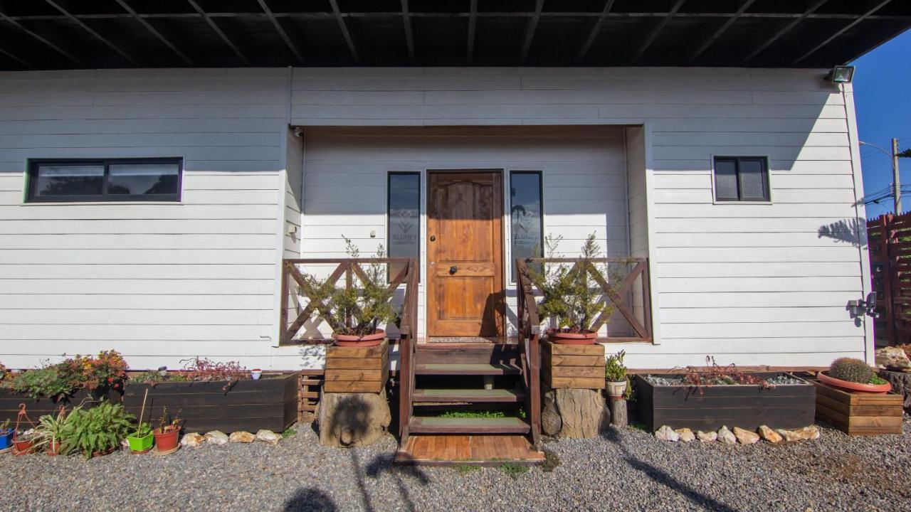 Eluney Pichilemu Luaran gambar