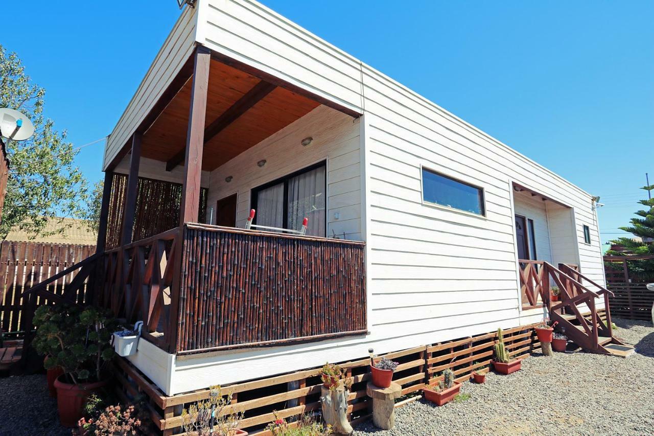 Eluney Pichilemu Luaran gambar